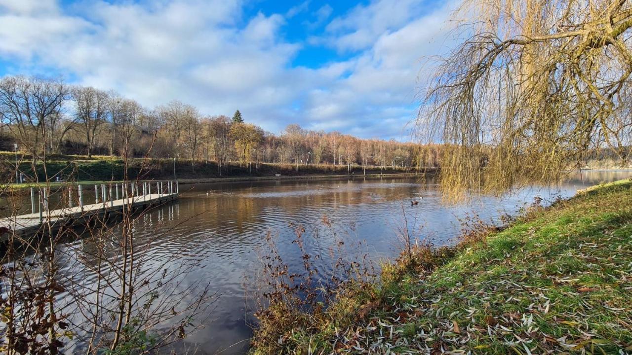 Le Salmoyard, Studio Au Bord Du Lac A В'єльсальм Екстер'єр фото