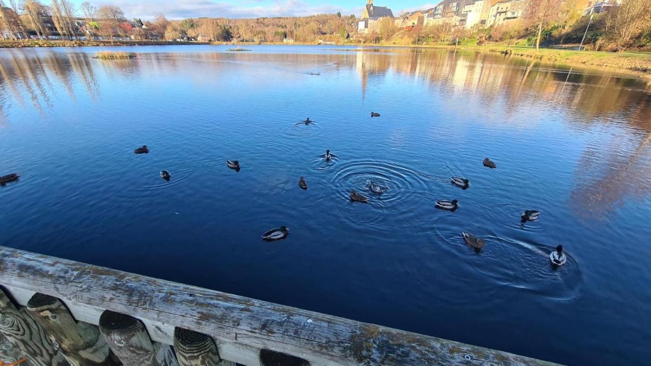 Le Salmoyard, Studio Au Bord Du Lac A В'єльсальм Екстер'єр фото
