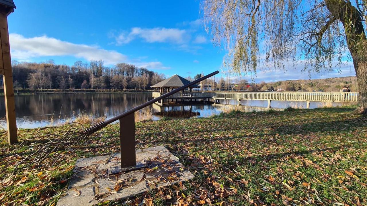 Le Salmoyard, Studio Au Bord Du Lac A В'єльсальм Екстер'єр фото